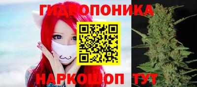 прущие грибы Северобайкальск