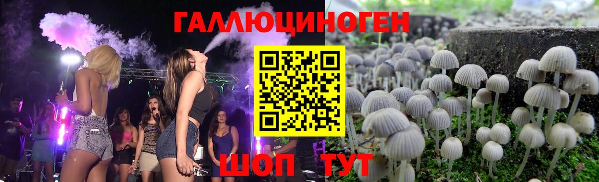 где можно купить   Галлюциногенные грибы Psilocybine cubensis  Новокуйбышевск  Вход с VPN  Псилоцибиновые грибы GOLDEN TEACHER 