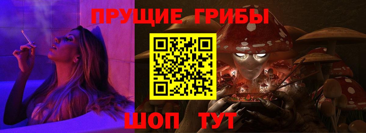 Псилоцибиновые грибы Cubensis Новокуйбышевск