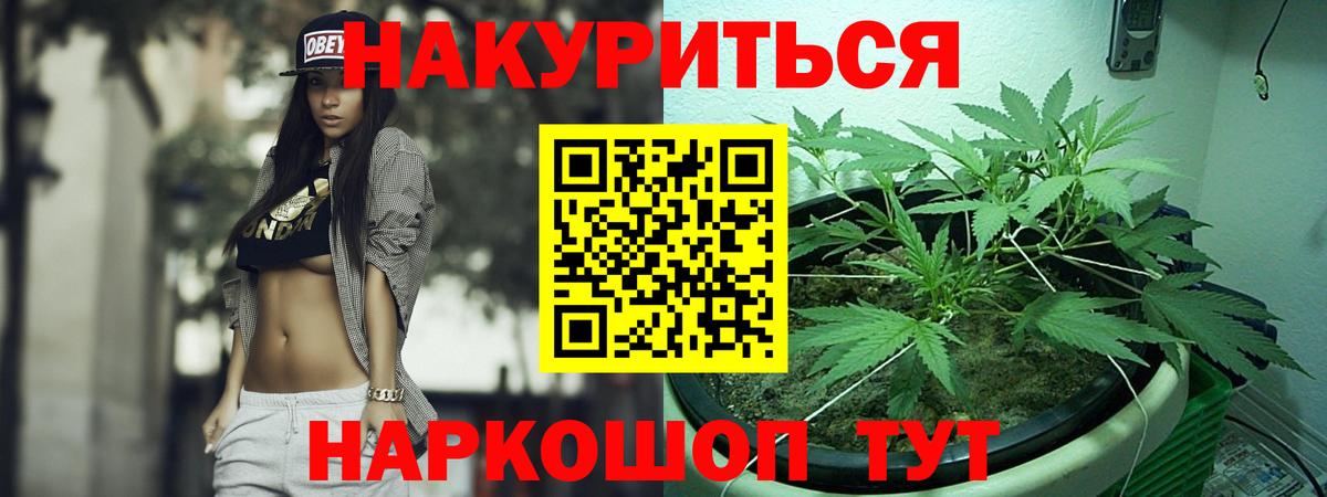 Бошки марихуана Amnesia  Конопля AK-47  Вход с VPN  Марихуана конопля  Новокуйбышевск 